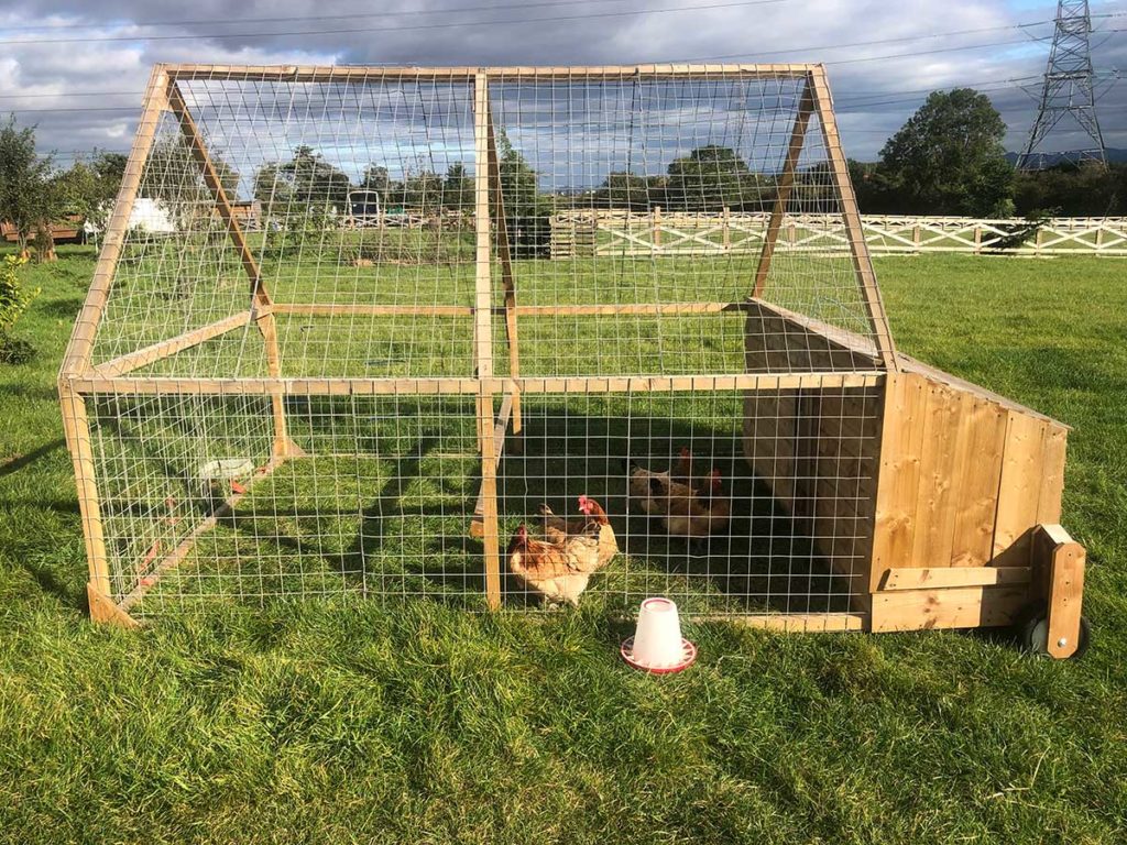 Why Is It Called A Chicken Tractor