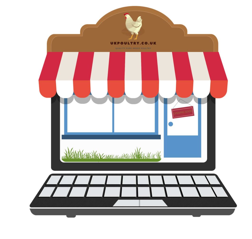 opening online farm store